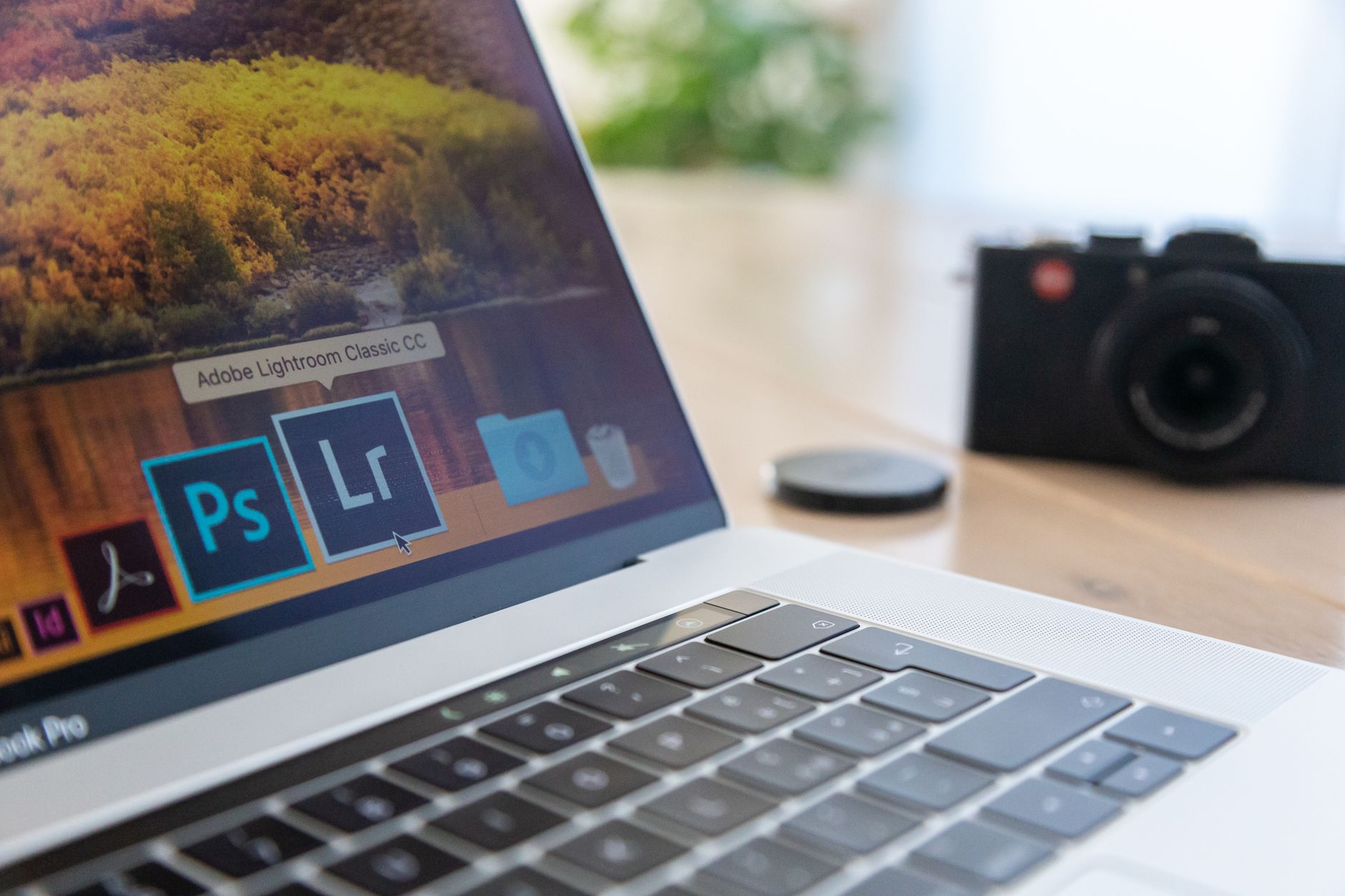 Adobe clones controversy